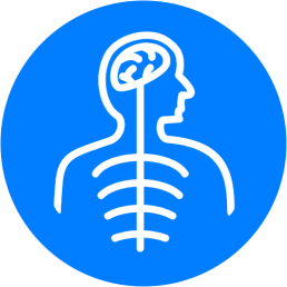 Peripheral-Nerves-icon