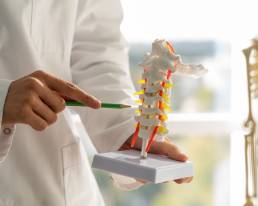 neurological-spinal-conditions-spine-1