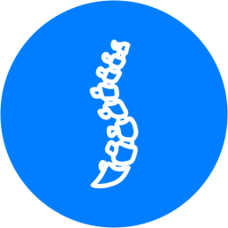 spine-icon